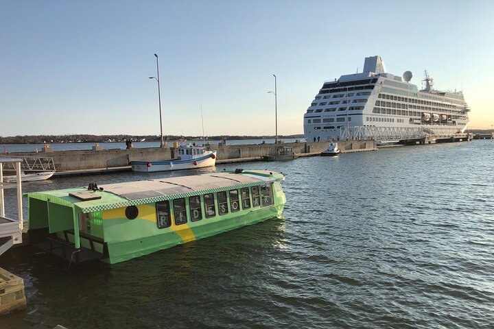 Solar harbour cruise with live music! (Optional lunch/dinner)