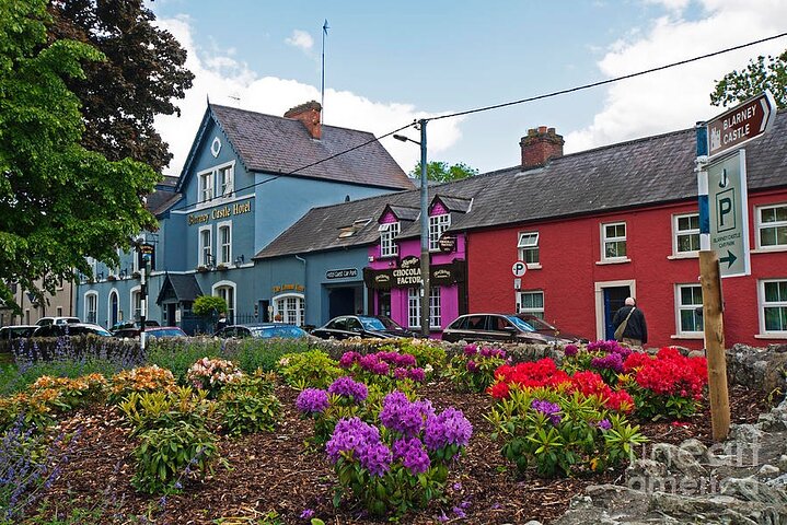Easy Access Blarney Stone and Castle Gardens Tour