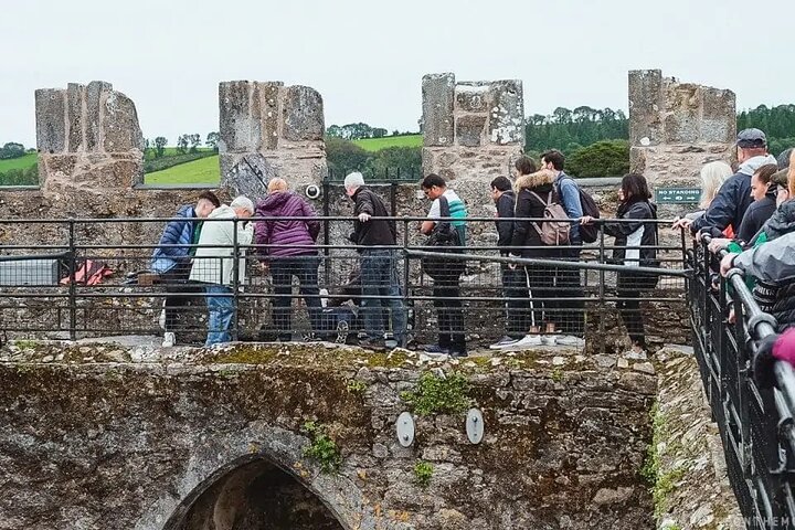 Easy Access Blarney Stone and Castle Gardens Tour