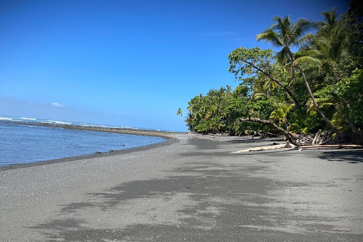 2 Days 1 Night Corcovado Jungle Adventure Sirena Ranger Station