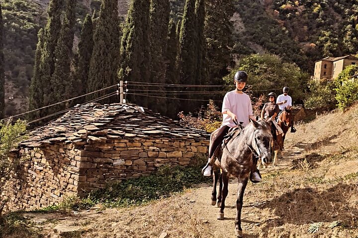 Amazing Horse Riding Experience at Vjosa National Park in Permet