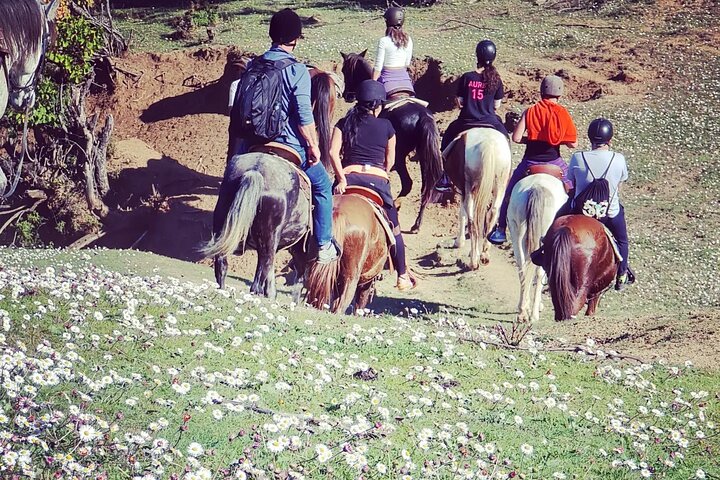 Amazing Horse Riding Experience at Vjosa National Park in Permet
