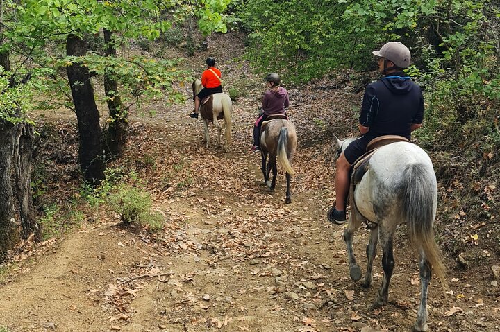 Amazing Horse Riding Experience at Vjosa National Park in Permet