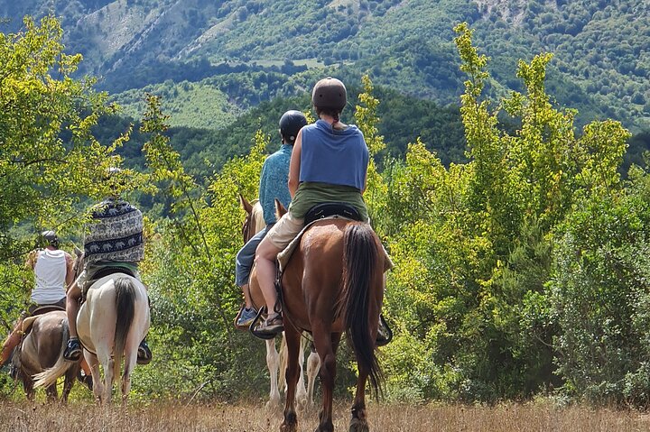 Amazing Horse Riding Experience at Vjosa National Park in Permet