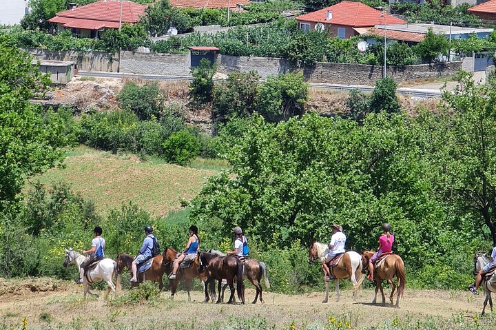 Amazing Horse Riding Experience at Vjosa National Park in Permet