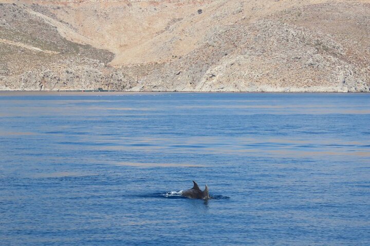 The Santa Maria 3 Island Cruise in the Aegean w/ Free Audio Guide