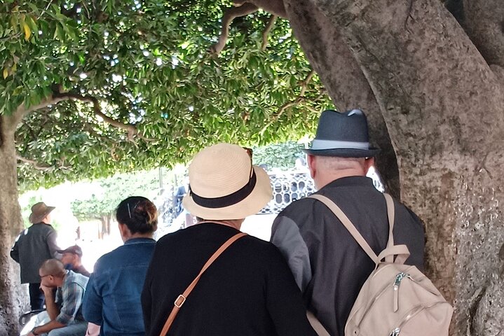 Cultural walk through the center of Guanajuato