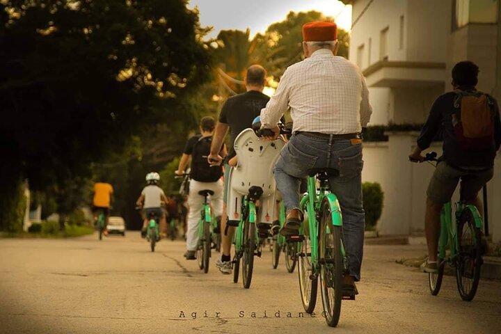 Guided Bike Tour of Carthage Archeological Site in Tunisia