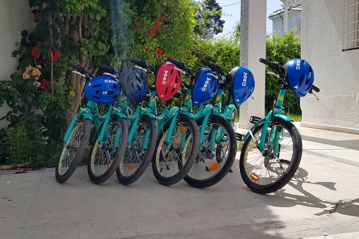 Guided Bike Tour of Carthage Archeological Site in Tunisia