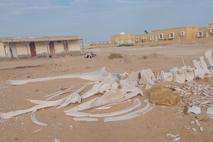 Tour in Mauritania