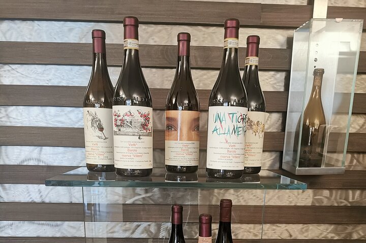 Barolo & Barbaresco Wine Experience with a Local Winemaker / Asti