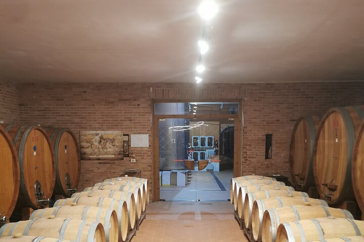 Barolo & Barbaresco Wine Experience with a Local Winemaker / Asti