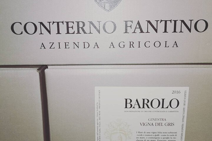 Barolo & Barbaresco Wine Experience with a Local Winemaker / Asti