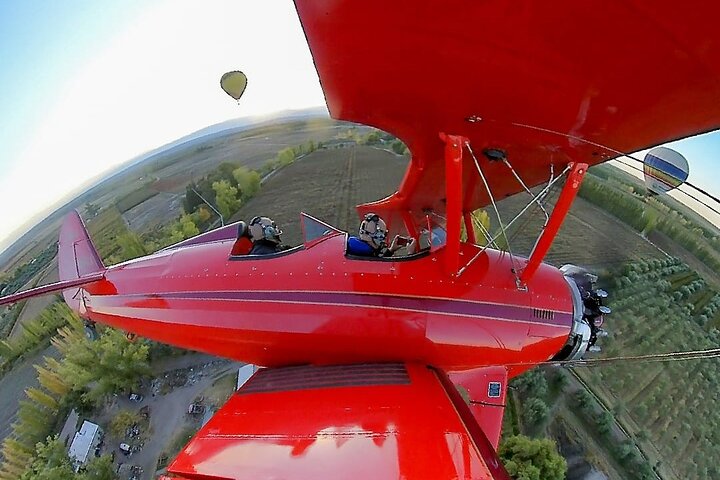 Fly Over the Vineyards of Mendoza