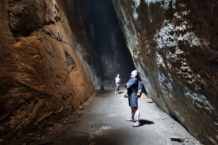 Explore the Best of Tijuca Forest – Hike to Peaks, Caves & Falls