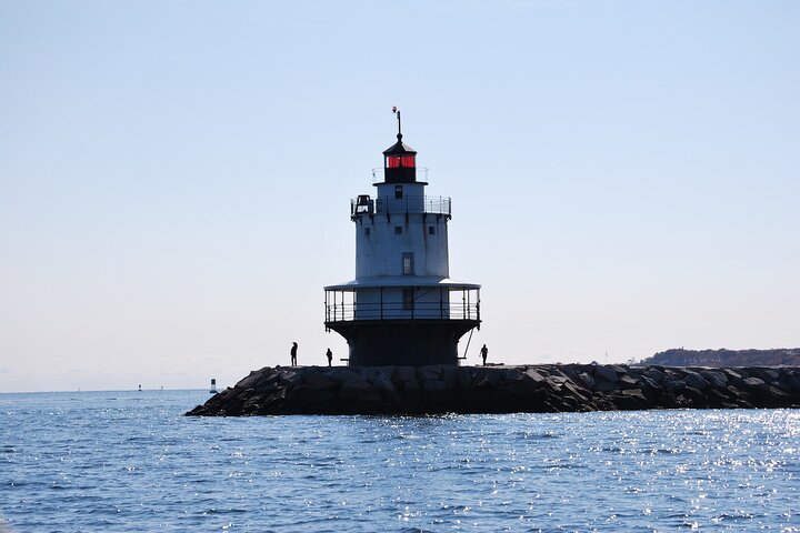 Harbor Lights and Sights Cruise