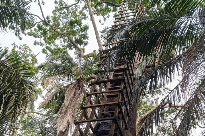 Lekki Conservation Center Extraordinary Tour