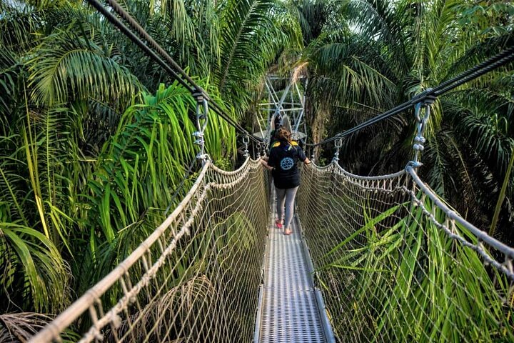 Lekki Conservation Center Extraordinary Tour