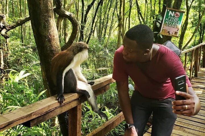 Lekki Conservation Center Extraordinary Tour