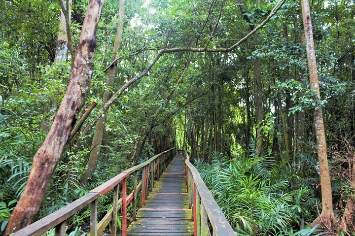 Lekki Conservation Center Extraordinary Tour