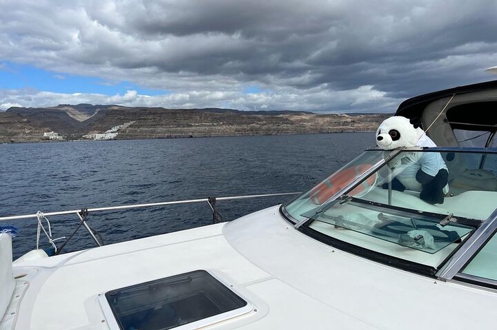 4 Hour Boat Tour with Snorkeling from Puerto Rico and Mogan