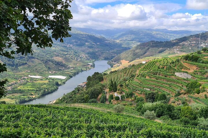 Private Douro Valley Tour (2 wineries + boat)