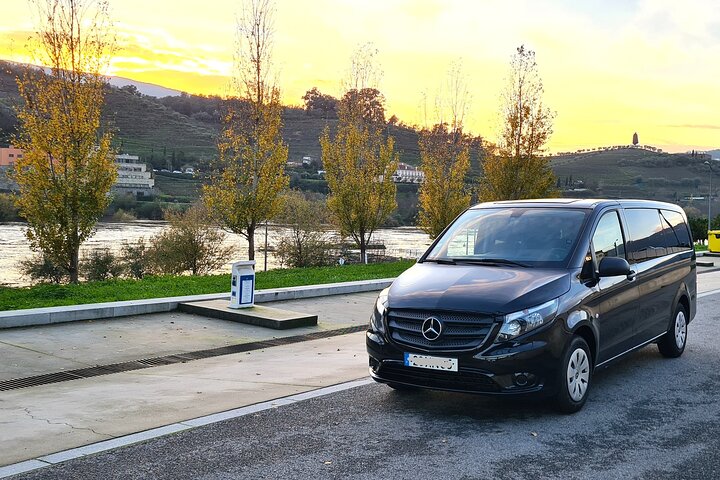 Private Douro Valley Tour (2 wineries + boat)