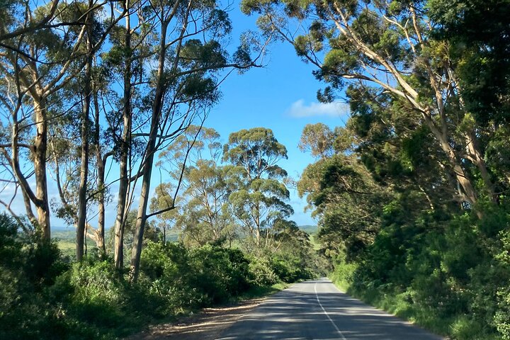 East London Airport Private Shuttle to Chintsa