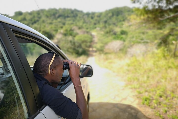 East London Airport Private Shuttle to Chintsa