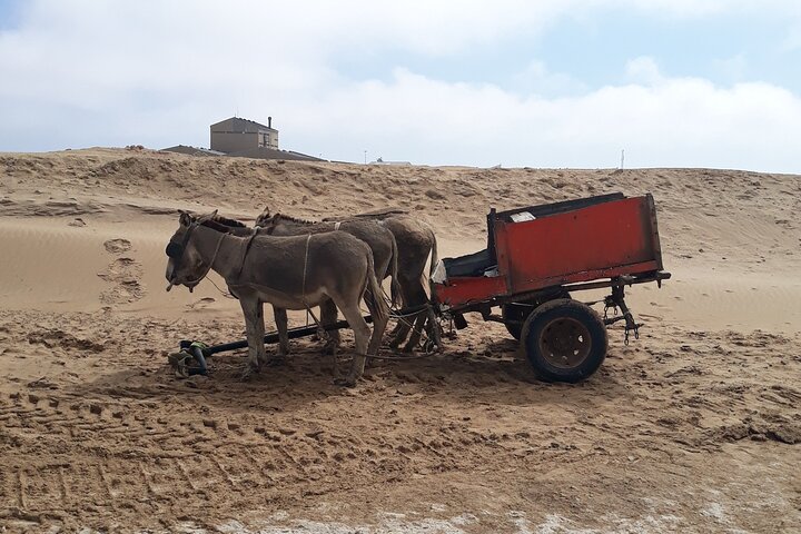 Exhilarating Sandwich Harbour 4x4: Guided Self drive experience