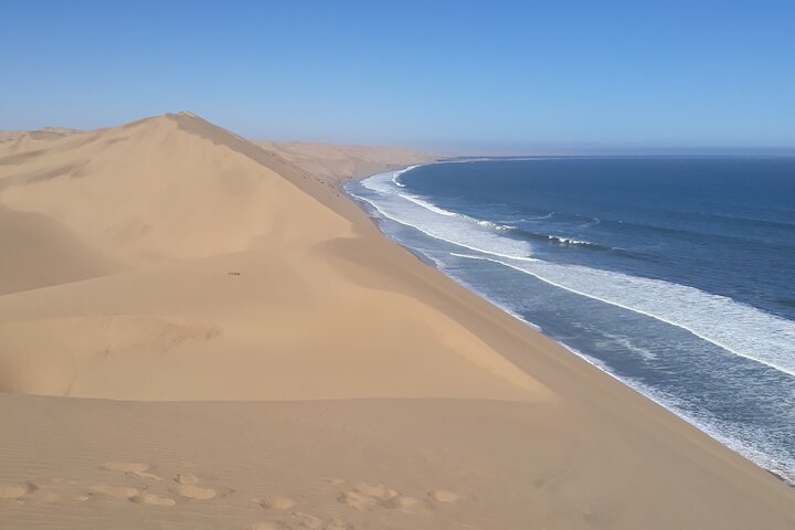 Sandwich Harbour Adventure Seals and Sandwich harbour dune drive