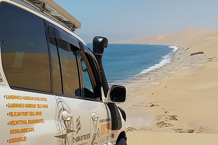 Sandwich harbour and Welwitschia Tour