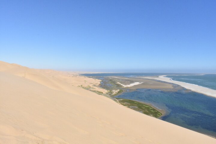 Sandwich harbour and Welwitschia Tour