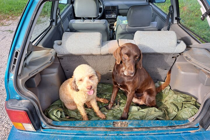 Truffle hunting adventure