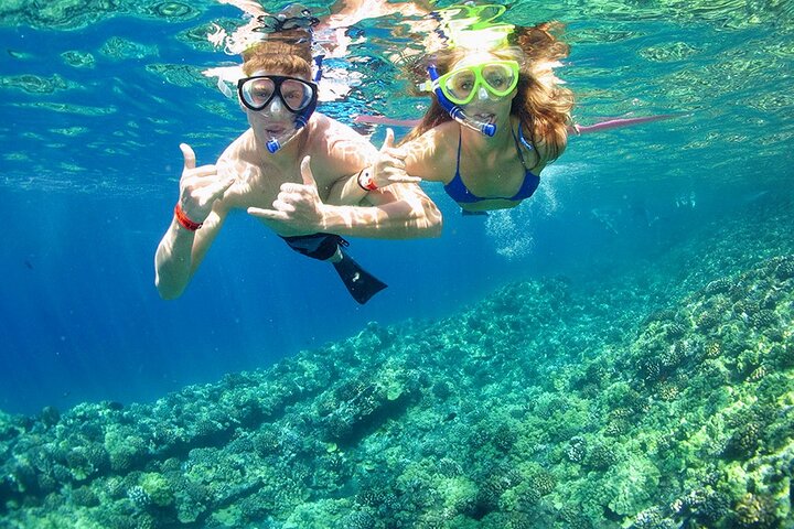 Ras Mohamed & White Island luxury Yacht Trip Sharm el Sheikh