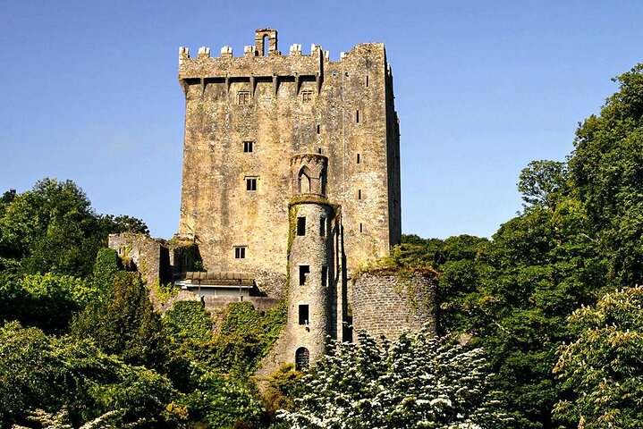 Blarney Castle and Kinsale Tour from Cork