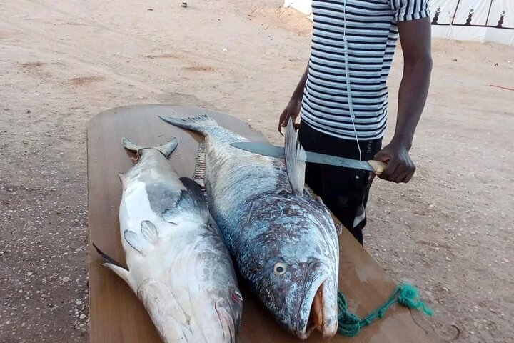 Tour in Mauritania