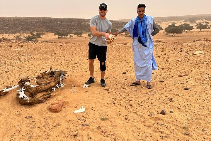 Tour in Mauritania
