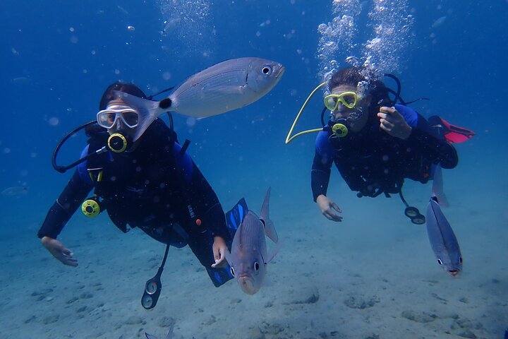 Kos: Beginner Scuba Diving Experience in Pserimos Island