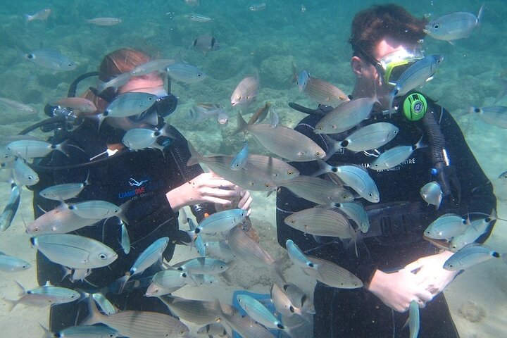 Kos: Beginner Scuba Diving Experience in Pserimos Island