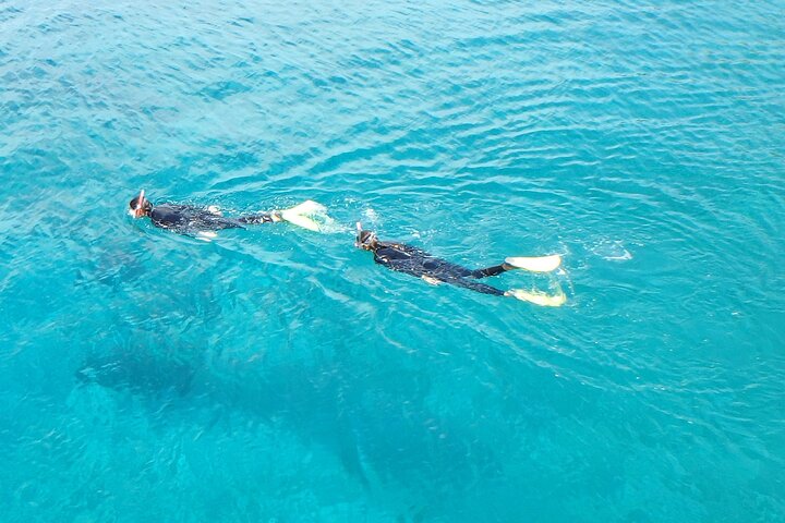 Half Day Snorkelling Experience with a dive boat in Kos Greece