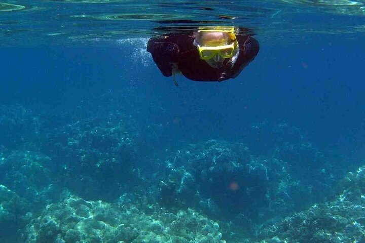 Half Day Snorkelling Experience with a dive boat in Kos Greece