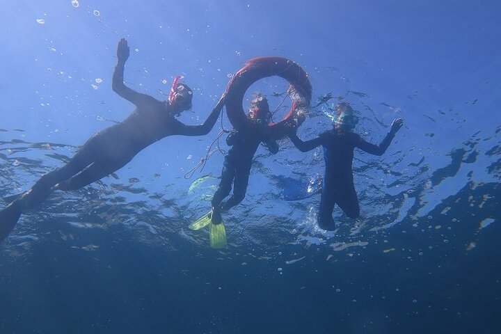 Half Day Snorkelling Experience with a dive boat in Kos Greece