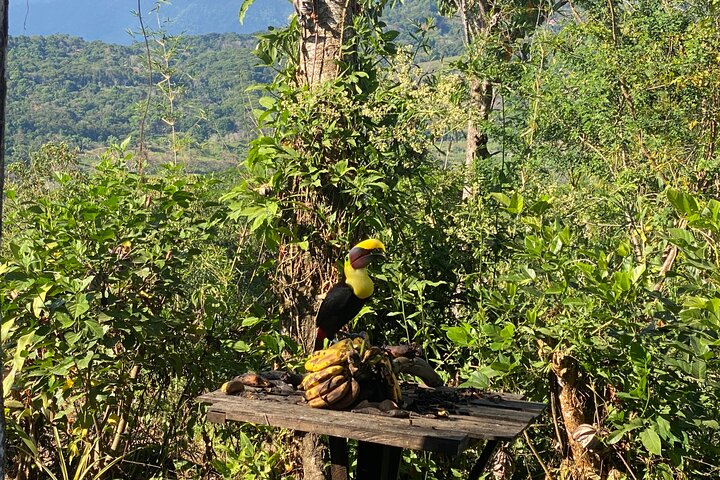 Nauyaca Waterfall Adventure -All-Inclusive Full Day tour