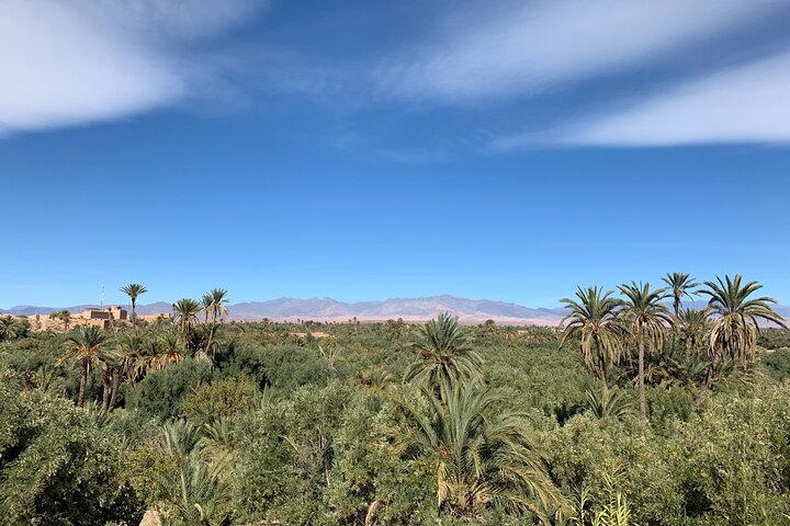 Private half-day mountain bike tour discover Palmeraie Skoura