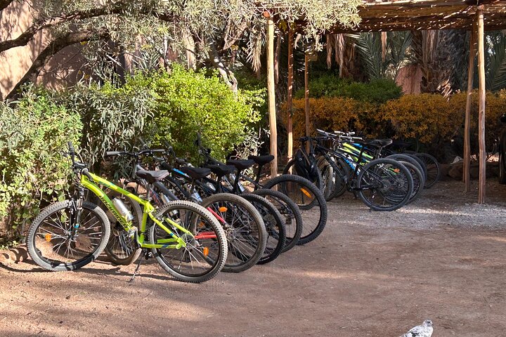 Private half-day mountain bike tour discover Palmeraie Skoura