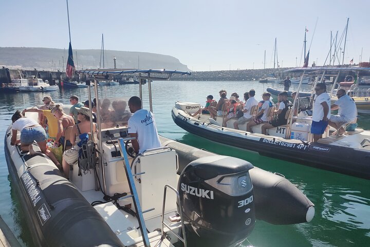 Sesimbra: Arrábida Dolphin and Whale Watching tour with biologist