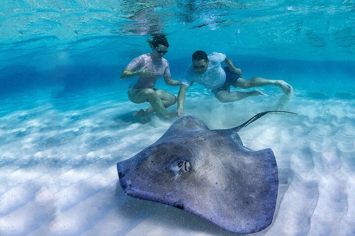 Stingray City and Starfish Experience with Coral Reef Snorkeling