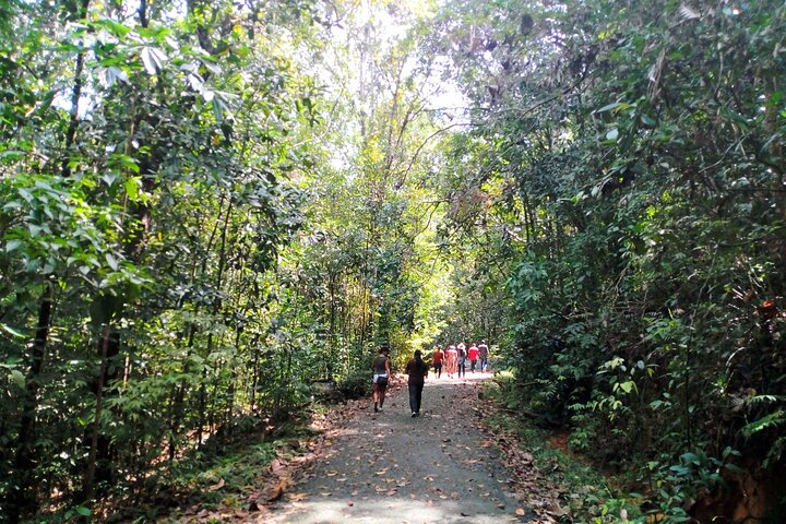 Kanneliya Rain Forest Tour