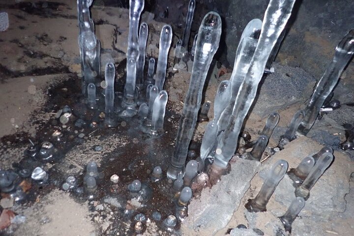 Exploring Mt Fuji Ice Cave and Sea of Trees Forest